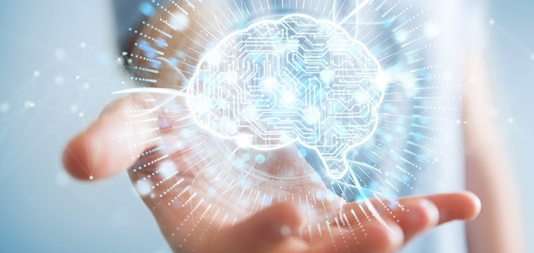 Cognitive Science Studium