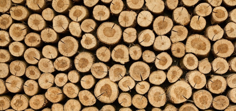 Holztechnik-Studium