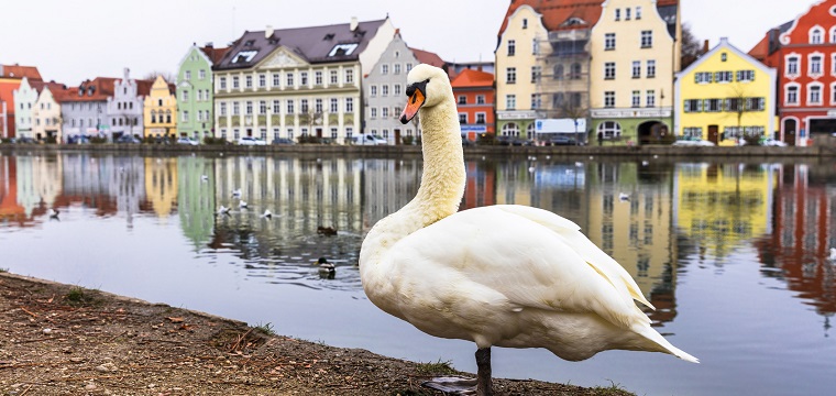 Landshut