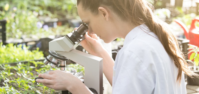 Mikrobiologie Studium