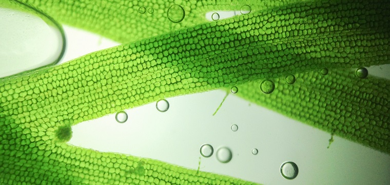 Naturwissenschaften Studium: Inhalte, Studiengänge, Berufe
