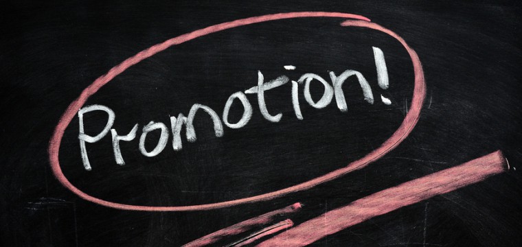 20 Prozent aller Stipendien sind Promotionsstipendien