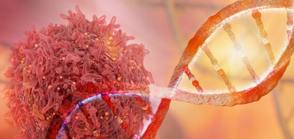 Biotechnologie-Studium