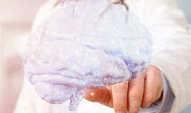 Neurowissenschaften-Studium