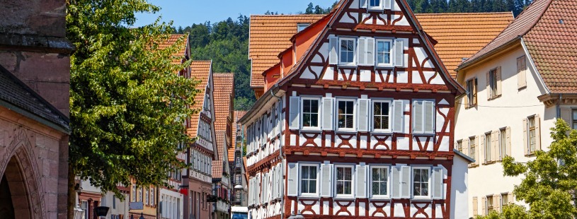 SRH Hochschule Calw
